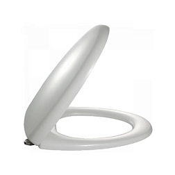 Сиденье для унитаза Presqu'ile термодюр, с микролифтом E8798-0 Jacob Delafon